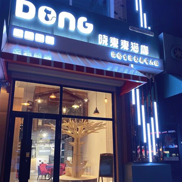 Dong·晓東東猫咖