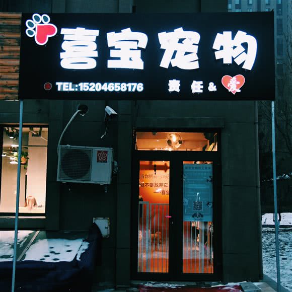 喜宝宠物