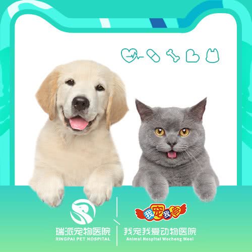 瑞派·我宠我爱动物医院(哈尔滨东直路店)