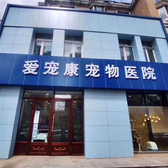 爱宠康宠物医院24小时