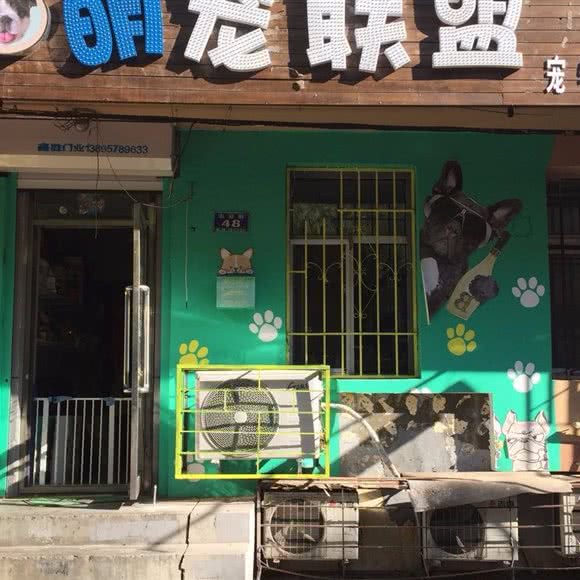 萌宠联盟宠物店