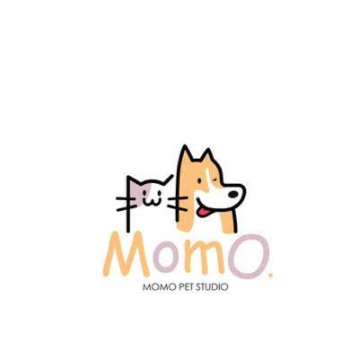 momo宠物·萌宠专售·撸猫