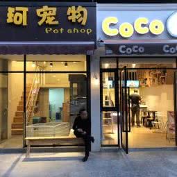 艾珂宠物(泰安路店)