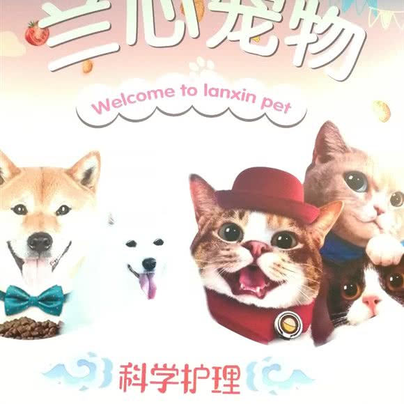 兰心宠物