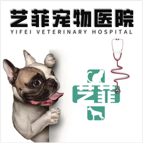 艺菲宠物医院·犬证登记点免疫点
