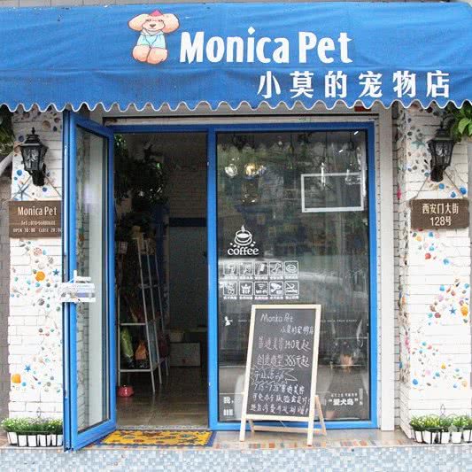 Monica Pet