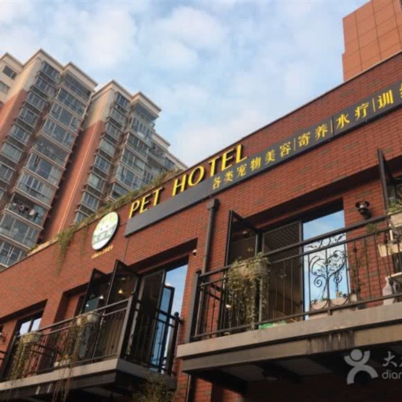 宠星球(杨浦店)