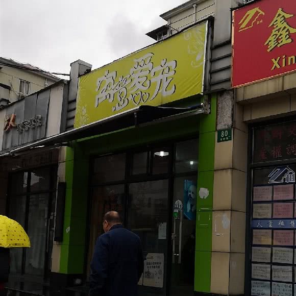 寓意爱宠