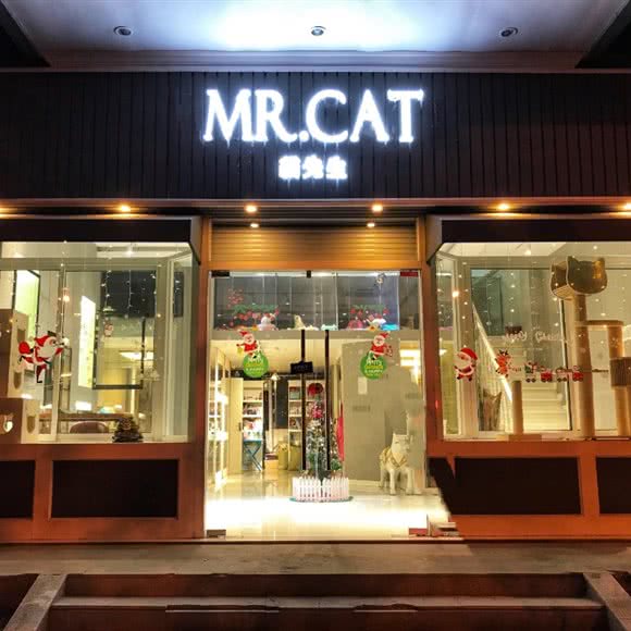 MR·CAT猫先生