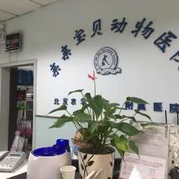 亲亲宝贝宠物医院
