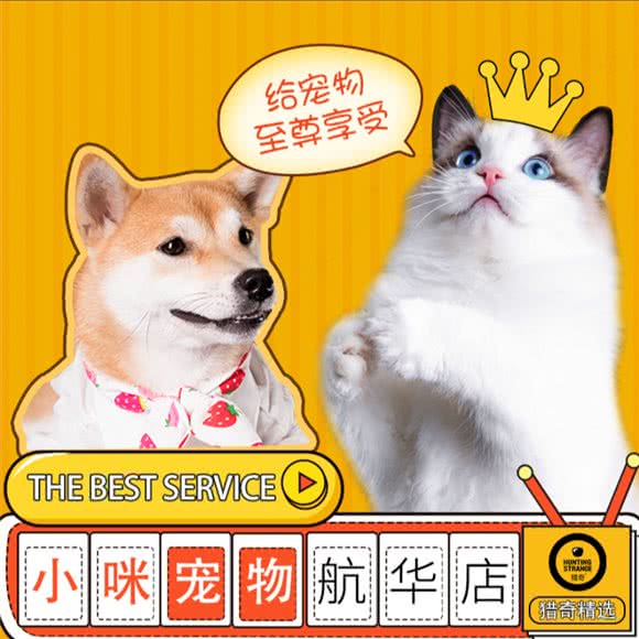 小咪宠物(航华店)