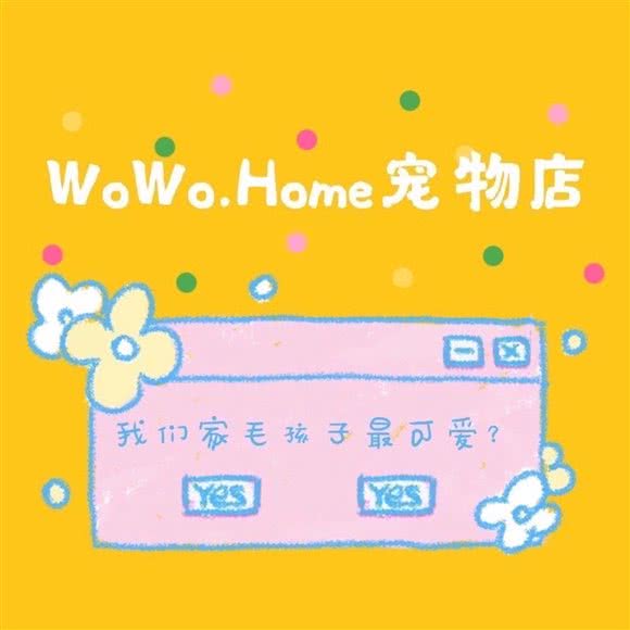 wowo家的宠物店