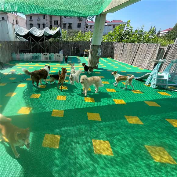 八公家宠物寄养酒店·猫咪专业洗护(高兴路店)