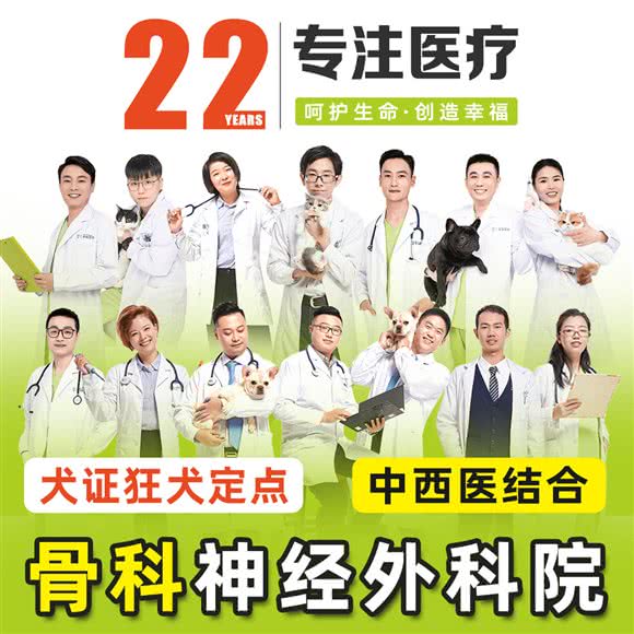 艾吉宠物医院
