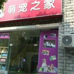 萌宠之十家