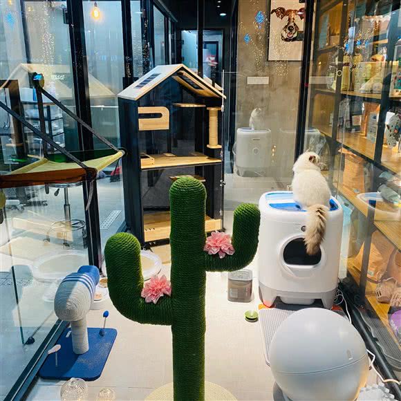 PETKIT小佩宠物(宝杨店)
