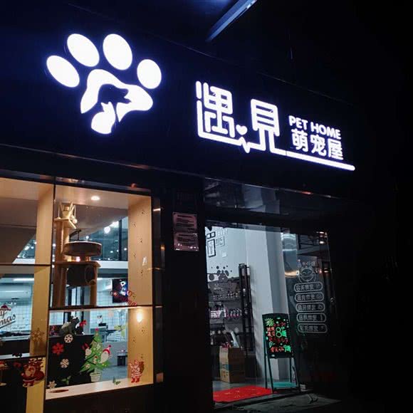 遇见萌宠屋