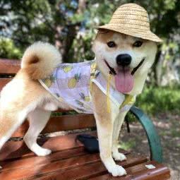 御宠 Pet Lovers Salon