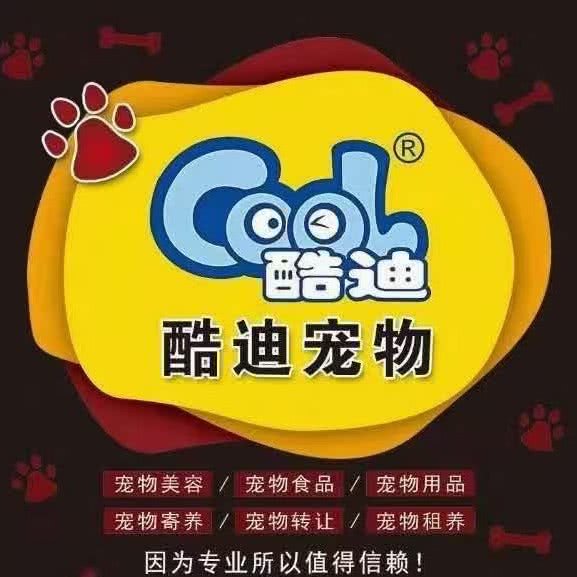 酷迪宠物(上地店)