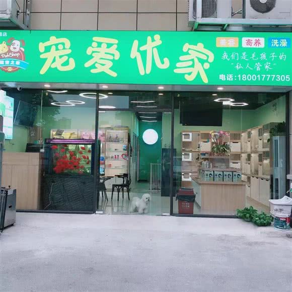 宠爱优家