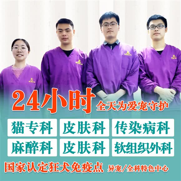 顺心宠物诊所(淞肇路店)