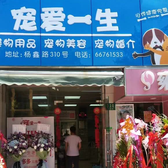 宠爱一生