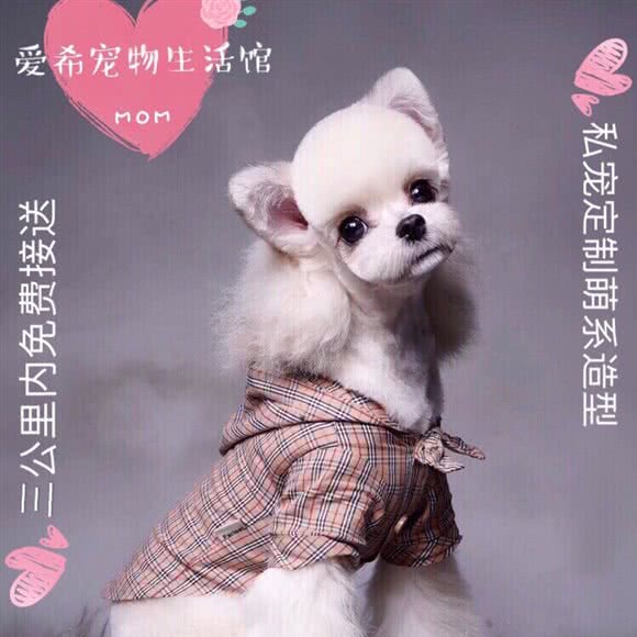 爱希宠物生活馆(吉镇路店)