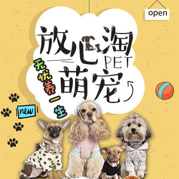 宠多多柴犬柯基犬舍活体专卖·狗狗训练工程学院