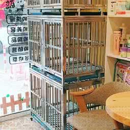 上海巴吉度宠物店