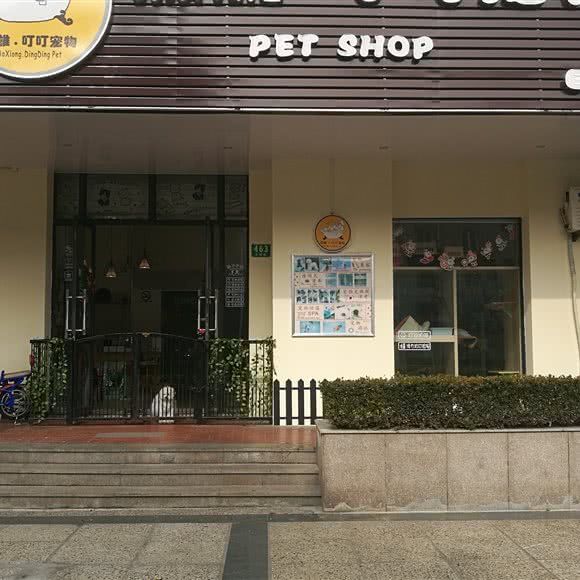傲雄·叮叮宠物(浦东证大家园店)