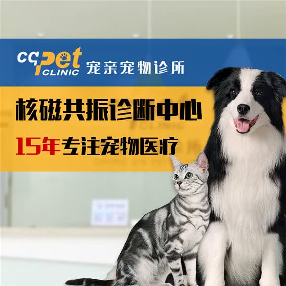 宠亲宠物诊所-核磁共振诊断中心