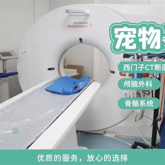 康成宠医(秀沿路总院CT、核磁、眼科、骨科中心)