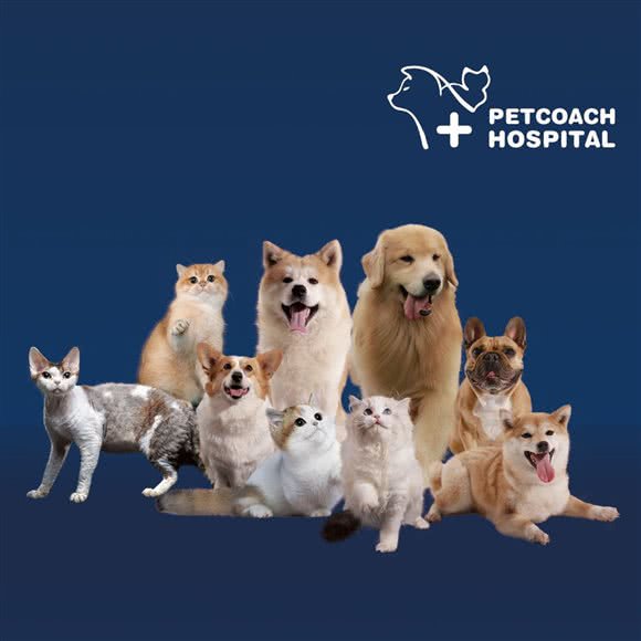 PETCOACH佩驰宠物诊疗中心(浦东店)