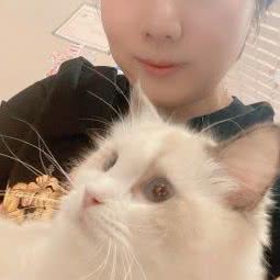 萬千宠猫社