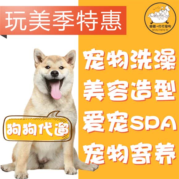 傲雄叮叮宠物SPA CLUB(阳光天地店)