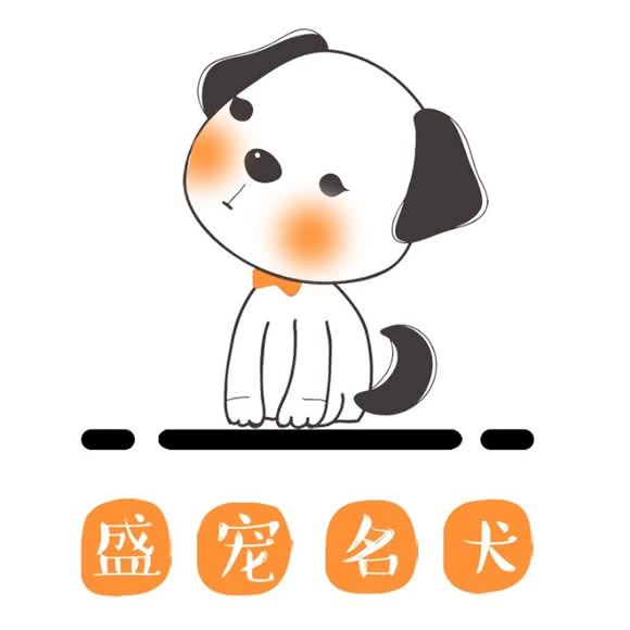 盛宠名犬高档萌宠