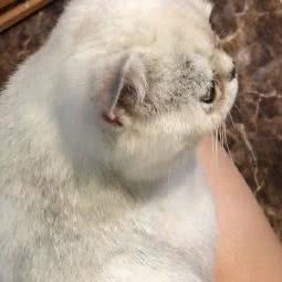 猫与狗宠物生活馆
