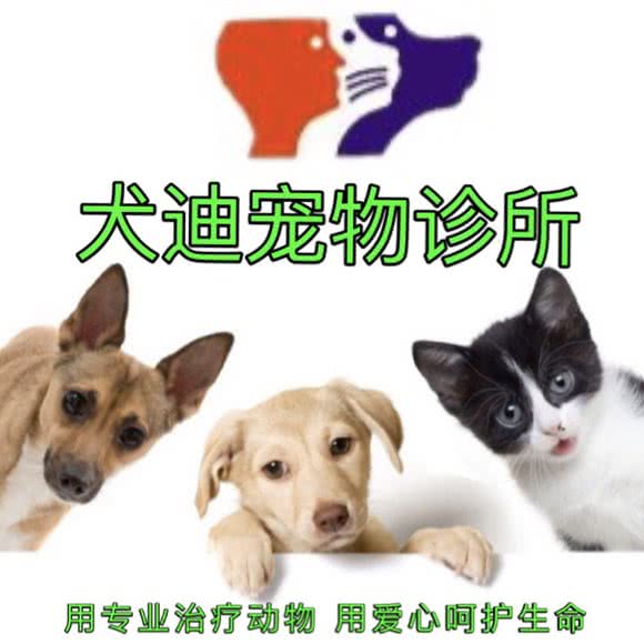 狗迪宠物诊所