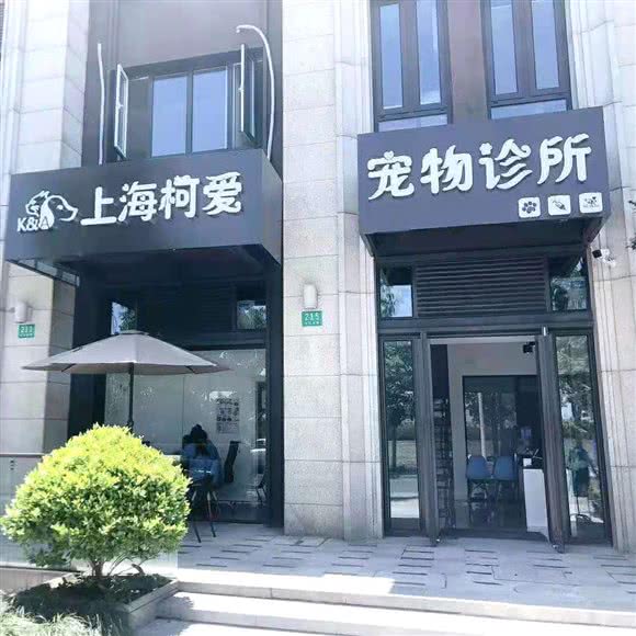 上海柯爱宠物诊所(24H)