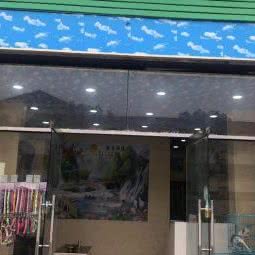 金麒麟宠物酒店