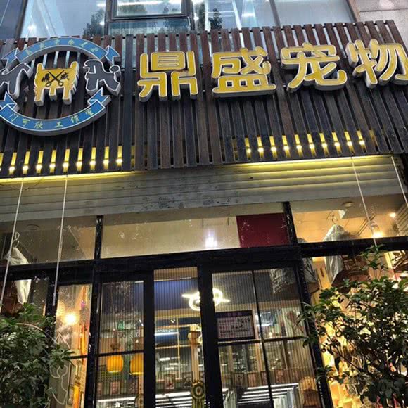 鼎盛宠物