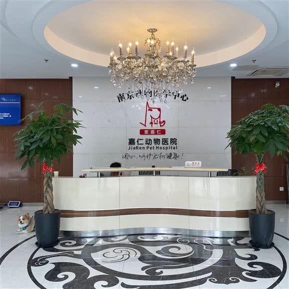嘉仁宠物医院·24Hours(庐山路店)