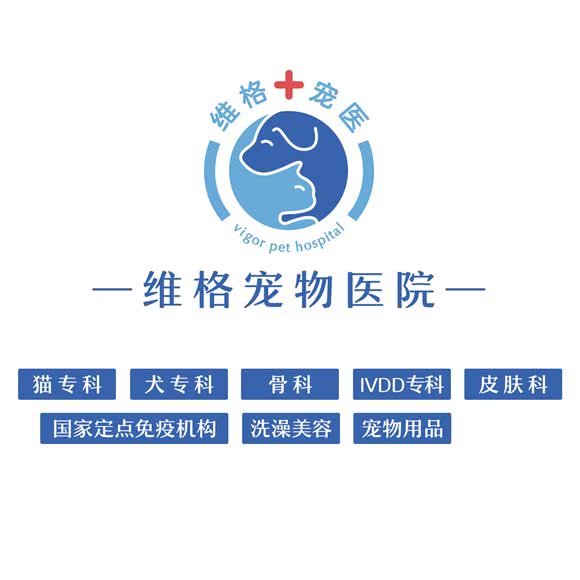 维格宠物医院·犬猫专科·高压氧IVDD专科·免疫点