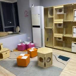 猫之阁·猫咖·寄养·下午茶