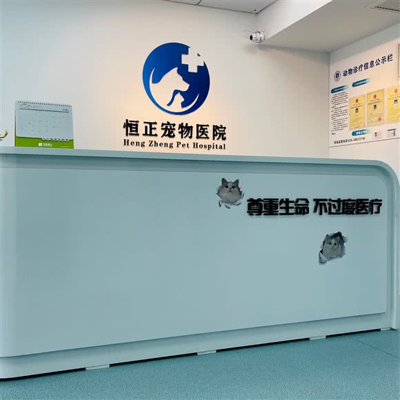 恒正宠物医院