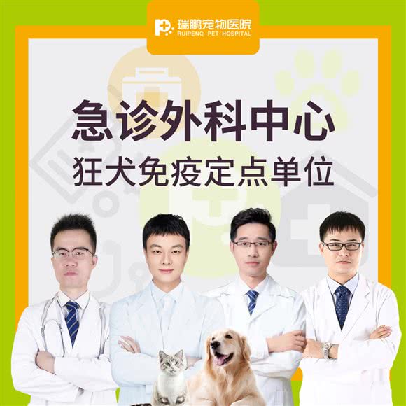 瑞鹏恒爱宠物医院