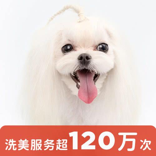 宠物家(通州万达店)