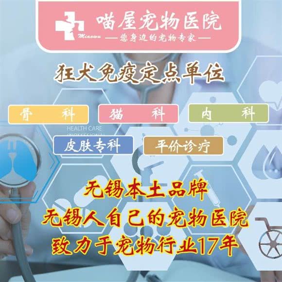 喵屋宠物医院(孔雀城店)