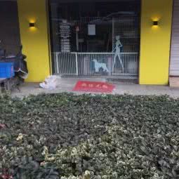 糖果萌宠屋