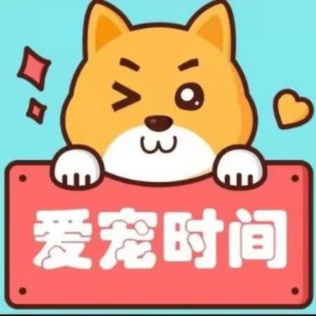 爱宠时间